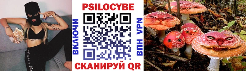 Псилоцибиновые грибы мухоморы  Купить закладки  Светлоград 